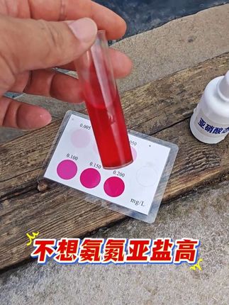 氨氮亚盐高,用鱼耀硝化细菌,安全降亚盐。#鱼耀#鱼虾蟹#