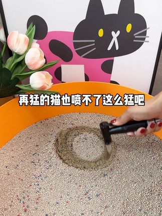 猫砂这种消耗品,不用买太贵的,像这种10斤9块9的猫砂就足够了,不仅便宜还嘎嘎好用#猫砂 #萌宠好物 #新手养猫 #猫砂推荐