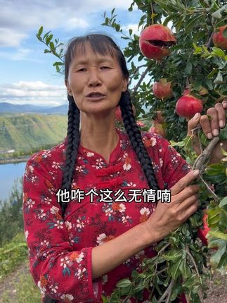 会理软籽石榴还有几天就结束了,石大哥和尹大姐还有机会再见一面吗?