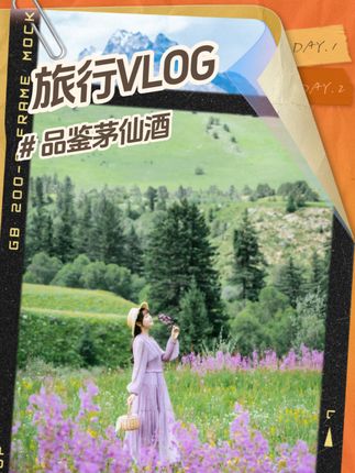 一起来看看 #茅仙酒 #中国传统文化