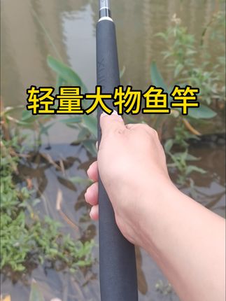 钓鱼大师都用的轻量大物鱼竿#鱼竿 #鱼竿渔具 #户外钓鱼 #钓鱼装备 #钓鱼