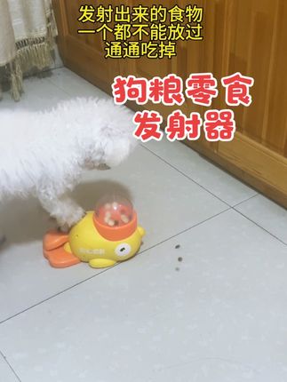应该没有一个毛孩子不喜欢这个玩具吧,#冻干发射器 #萌宠 #宠物玩具 #不养狗不知道养狗的乐趣 #狗狗