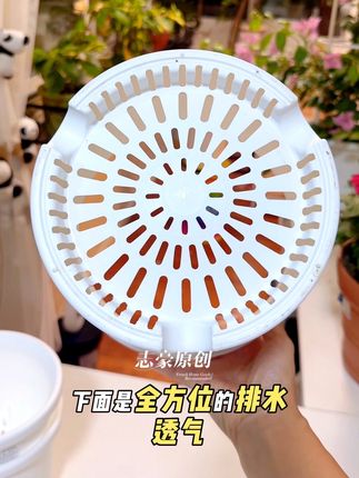 【拍1发2】爱丽思deepot花盆加仑盆树脂百合玫瑰月季绣球塑料爱丽丝#爱丽思花盆 #透气花盆推荐 #加厚花盆 #爱丽丝控根花盆 #花卉绿植