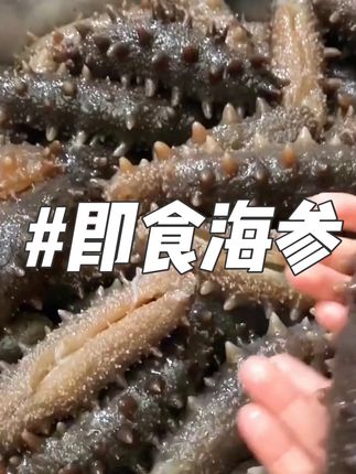 即食海参 #好东西一起分享 #超便宜超划算 #海参 #青岛海参 #即食海参