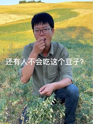谁知道这个豆子怎么吃好吃 打豆浆细腻丝滑没有豆渣,炖肉煲汤好吃,煮稀饭证米饭也好吃#鹰嘴豆