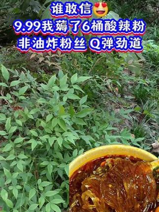 #酸辣粉#饿了来一碗 #酸辣好吃#强烈推荐 #我可真会买