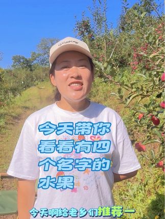 这个水果名字太多了#鸡心果 #鸡心果苗 #鸡心果熟了