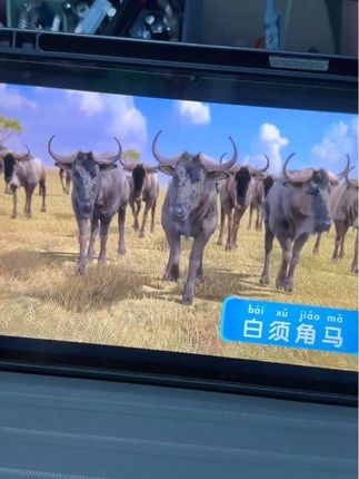 别再纠结给娃看什么动画了!斑马百科比普通动画片好看多了,内容丰富易懂,特别吸引孩子,还能学一堆百科常识~#科普动画 #少儿百科 #斑马百科 #百科常识 #趣味百科
