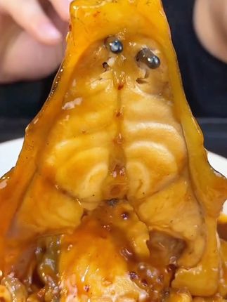 #海参斑鱼 #美食 #海鲜 #吃货