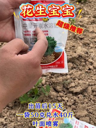 花生种植好帮手#花生宝宝#花生种植#农业种植#三农种植#花生