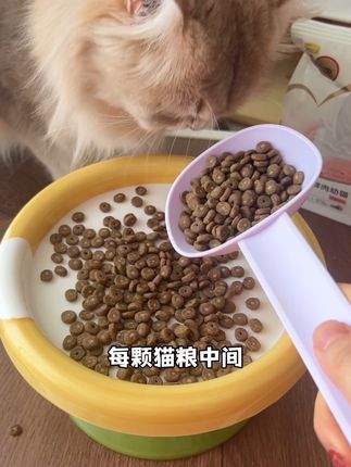 差点以为买到假货,没想到真是9块9!#萌宠好物