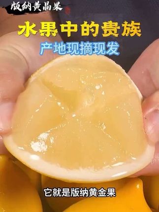 这个就是最近很多人都在问的黄晶果,它吃起来是那种香甜软糯的感觉,而且打开袋子就能闻到浓浓的果香味,尝一口更是满嘴生香,回味无穷。我们的黄晶果都是每天清晨采摘发货的,确保大家收到的都是新鲜可口的优质黄晶果,如果你也喜欢这种口感的话,就赶紧下单试试吧!#黄晶果 #口感非常好 #快来一起尝个鲜 #优质水果 #很好吃