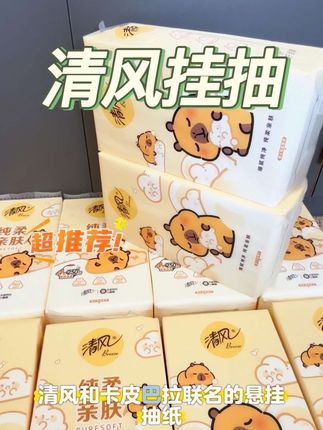 真的没必要再去买杂牌的抽纸了,清风卡皮巴拉联名挂抽现在十提才这个价!#清风 #挂抽 #卡皮巴拉 #纸巾