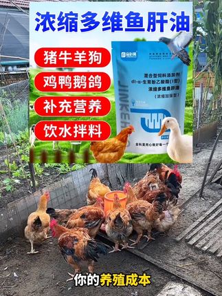 用了这个以后,你的养殖成本将会大幅下降,就是这个神奇的鱼肝油,让无数养殖户实现了,日进斗金的梦想。使用后,鸡毛色光亮,体质健壮,一年到头不得病,长势迅速,提前出栏十天半个月,延长产蛋期四十天到六十天#养殖 #三农 #鸡鸭鹅养殖 #家禽养殖 #畜禽养殖