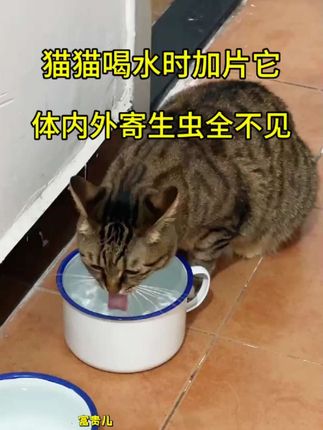 #科学养宠攻略 #萌宠出道计划 #好物推荐🔥 #驱虫 @DOU+小助手 @DOU+上热门