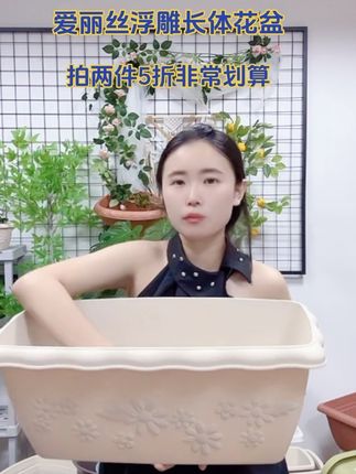 【同款花盆拍两件5折】爱丽思加厚树脂花盆塑料阳台种菜大号盆栽个性雏菊花卉环保#爱丽思种菜盆 #长条花盆 #爱丽思花盆 #花盆推荐 #自用好物分享