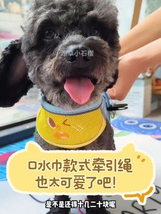 平时给毛孩子买一个口水巾都要十几二十块,这个口水巾款式的牵引绳毛孩子穿上也太可爱了,关键价格也不贵,趁活动快给你家小毛孩儿也安排一个吧#宠物牵引绳#萌宠好物#胸背牵引绳#狗狗牵引绳