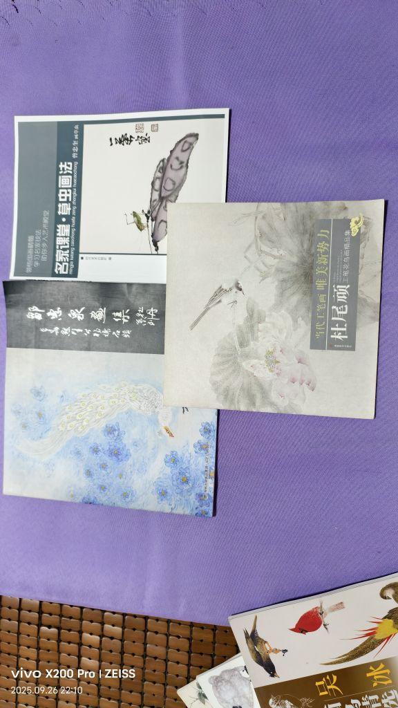 6本库存美术书,纸张画质均佳,有些许灰渍,接近新书,内容丰富,技法参考价值高,正品,20元实惠,值得购买!#我在抖音买买买