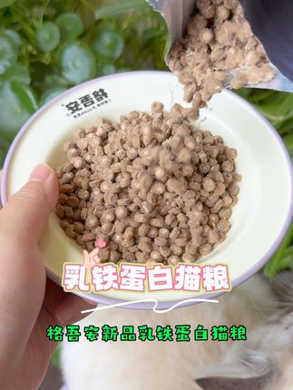 赶紧来薅格吾安的大羊毛!提高猫咪自护力!正装五六十一斤!这个400克的试吃简直太划算了!#格吾安 #格吾安猫粮 #乳铁蛋白猫粮 #猫粮推荐 #科学养宠攻略