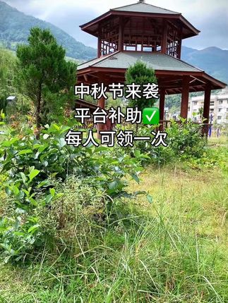 #强烈推荐 #生活用纸 #抽纸#心相印抽纸推荐#无限回购的宝藏单品