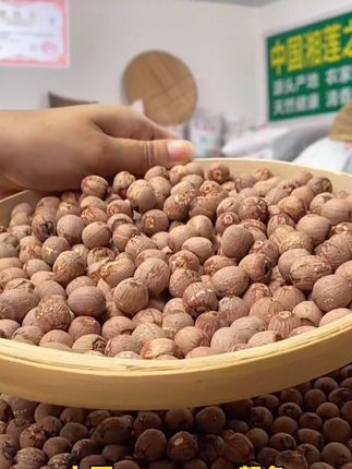 如果你跟我一样是一位八零后的姐妹,我更推荐你去拍到这个红莲,红莲的话呢跟白莲呢是同一个品种的莲子,但是呢他保存了上面的这一层涟漪,他是更适合咱们女人吃的。这层连衣里面有非常丰富的钙、磷、铁等等营养元素在里面,所以呢,它的营养价值更高,养生价值呢也是更高的哦。#莲子#红莲子#五谷杂粮 #特色农产品 #营养丰富