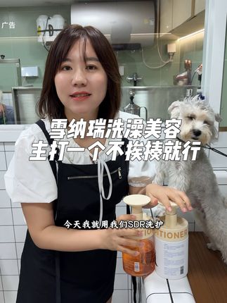 雪纳瑞美容 铁子们,这么整,还行不#宠物店 #宠物洗澡 #宠物美容 #雪纳瑞