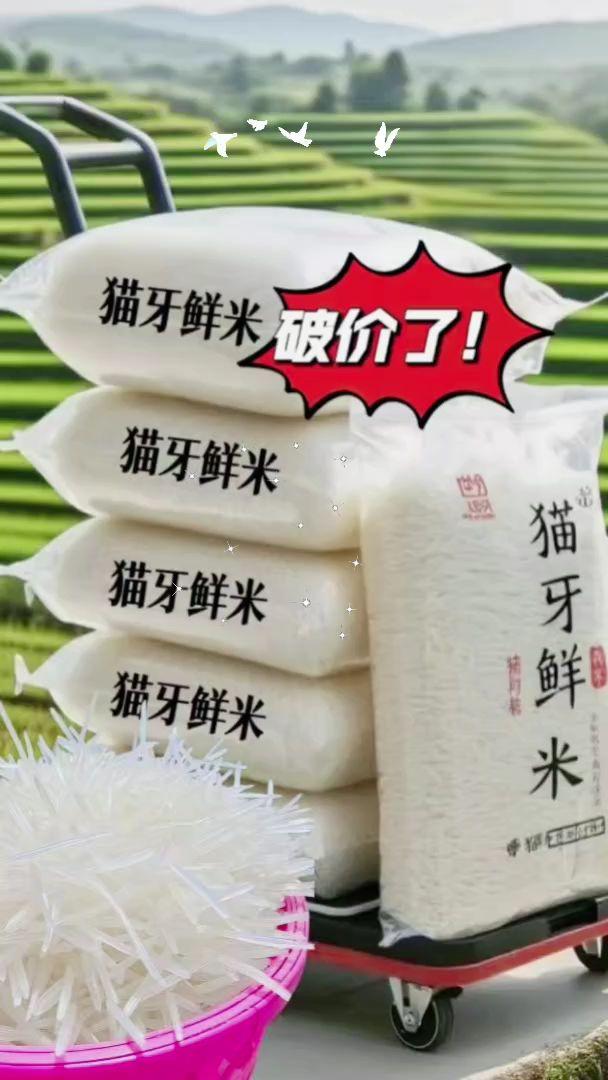 #好物推荐🔥 #猫牙米 !