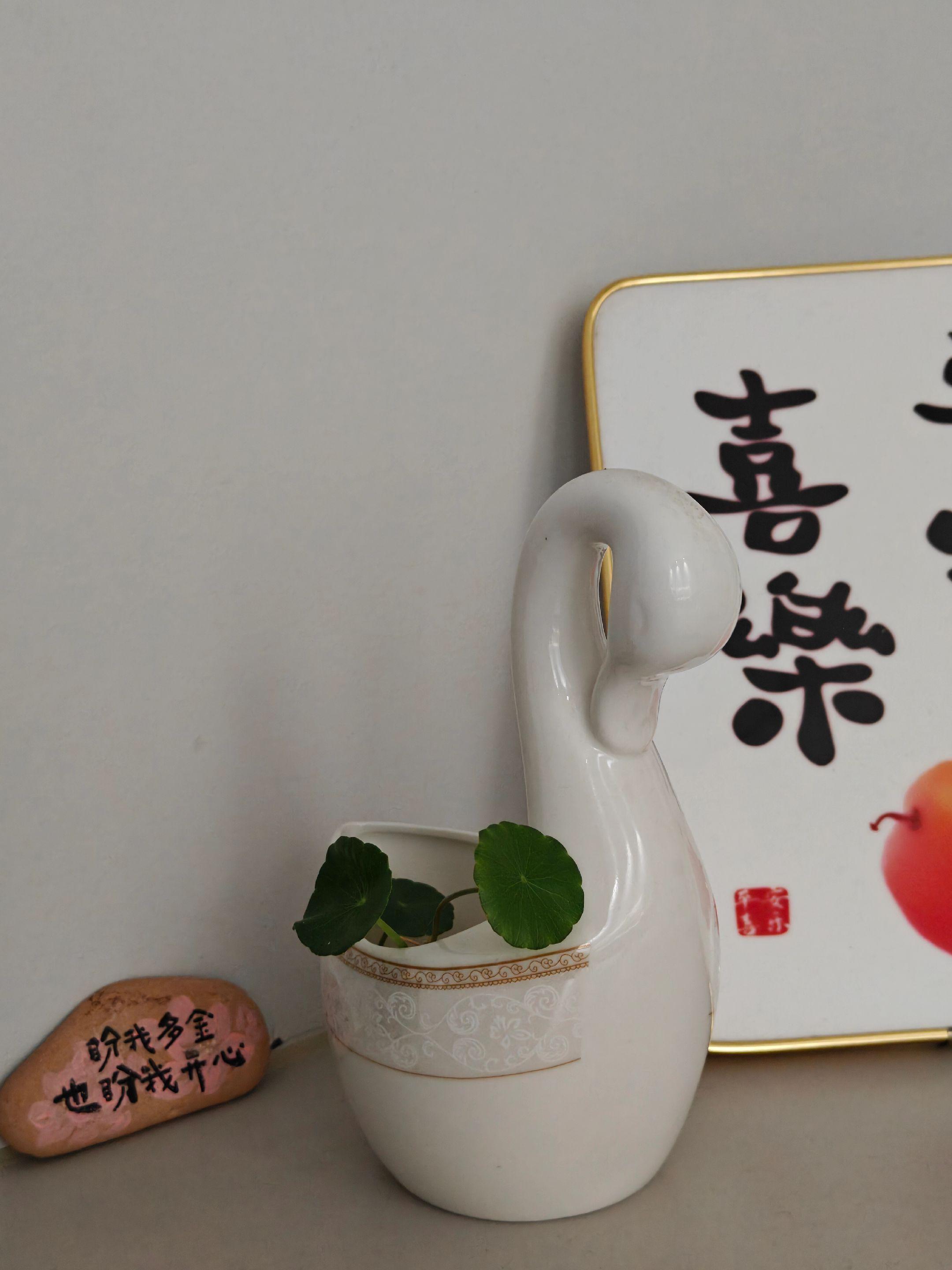 抖音钻石真的要拒绝原价啦!尤其是苹果手机,你知道哪里买便宜吗?#优惠活动#苹果手机 #走过路过不要错过#璀璨钻石