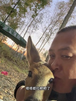 狍家庄附近里黑熊了#爱护大自然保护野生动物