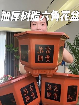 #花盆 #绿植花盆 #树脂花盆 #六角花盆 #透气花盆