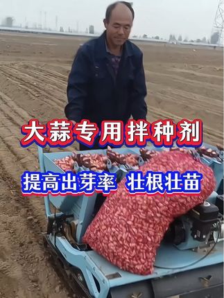 大蒜专用拌种剂#大蒜种植#三农 #农业种植