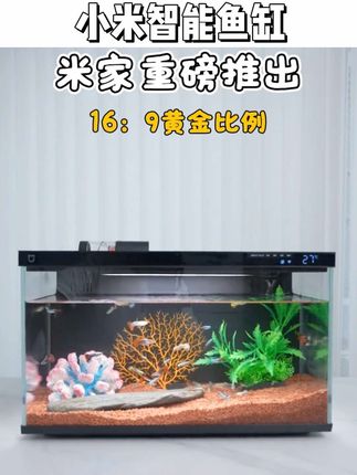 被小米鱼缸的智能感折服了! 不用天天换水,过滤系统很能打,水一直清透~ 米家APP远程搞定喂食,出门超安心。 简约设计百搭家居,灯光一亮,小鱼游得更欢了,治愈感拉满! #小米鱼缸 #懒人养鱼 #家居小确幸#家居好物 #鱼缸里的大自然