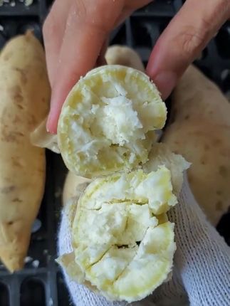 多吃红薯粗粮真不错#白皮人参薯粉糯香甜 #粗粮 #早餐吃什么 #农村美食