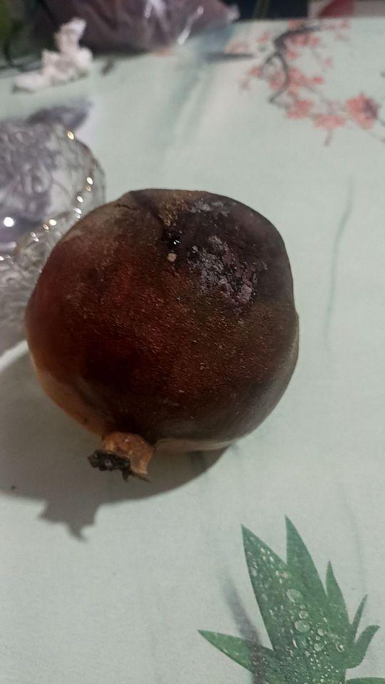 烂透了一个#我在抖音买买买