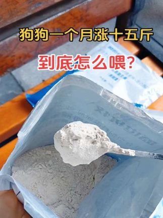 #养殖人加油 #农村创业养殖 #肉狗养殖 #科学喂养 #养狗经验分享 改善肠道,促进吸收,贪吃贪睡长肉快~