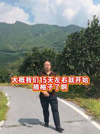 柚子成熟了