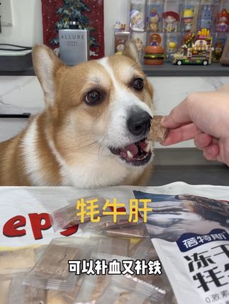 看到还是6.9就赶紧冲#宠物零食