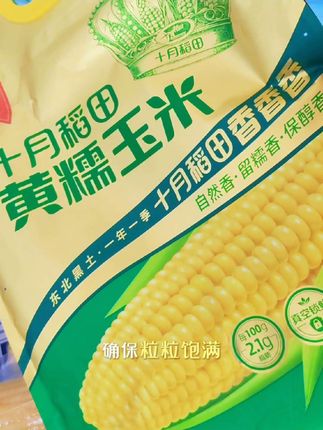 十月稻田黄糯玉米,香甜软糯#营养丰富 #糯玉米 #粗粮 #强烈推荐 #健康食品推荐