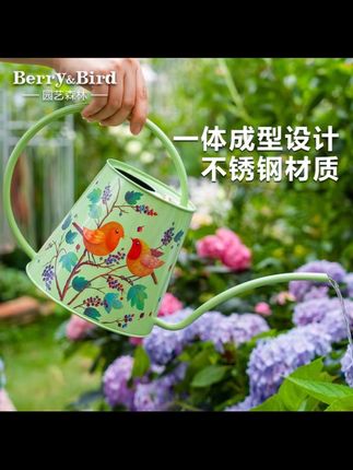 Berry&Bird长嘴浇花水壶家用花卉盆栽多肉洒水壶高颜值园艺摆件2L#不锈钢浇花壶 #浇花神器 #浇花壶 #洒水壶 #园艺工具