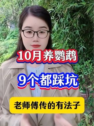 10月养鹦鹉,9个都踩坑,老师傅传的有法子#鹦鹉 #鹦鹉鹦鹉萌萌哒逗鹦鹉 #鹦鹉驱虫 #鹦鹉小白 #鹦鹉养殖
