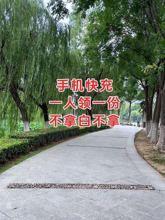 快来薅!#好物推荐🔥 #快充#充电器
