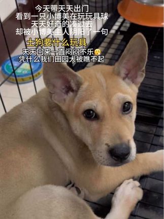 低人一等的不是出身 而是自己的无知 #随拍