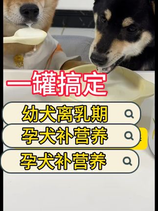狗狗越喝越壮实,这款羊奶粉回购N次,性价比超高。补水补钙还长肉。#养狗经验分享 #养狗经验分享 #萌宠好物 #宠物羊奶粉 #科学养宠攻略