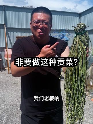 做好贡菜第一步,首先得坚持在第一线跑! 为了做出品质更好更安全的贡菜,老板经常带着我们在外了解贡菜品质,做工细节等等,去跑,去调查,去监督,去改进,瞅瞅给我们晒的,云南这紫外线可不是吃素的🥲#贡菜 #贡菜干 #贡菜的家常做法 #火锅贡菜#螺蛳粉