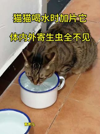 #科学养宠攻略 #萌宠出道计划 #猫咪 #科学养宠 #宠物知识 @DOU+小助手 @DOU+上热门