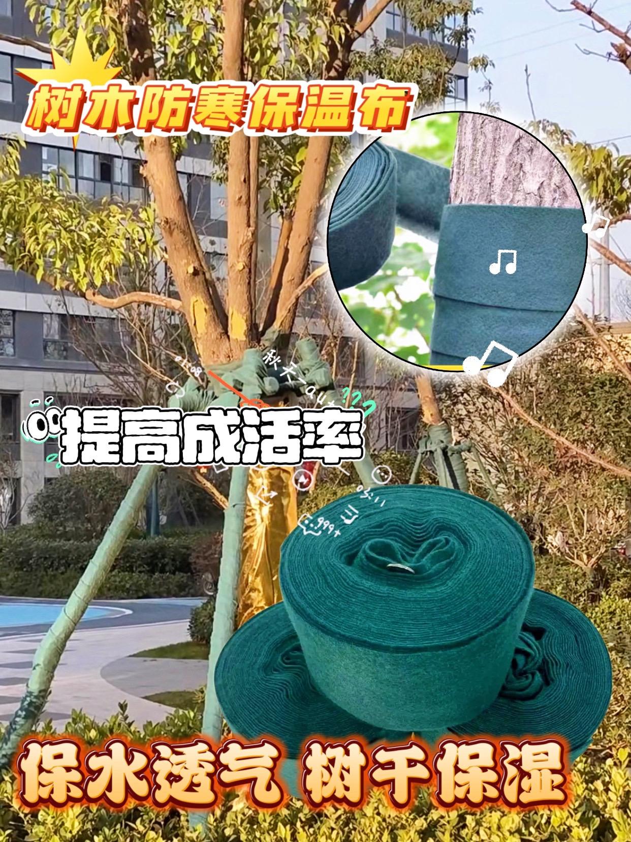 树干防寒裹树布。#创作者扶持计划 #图文热点来了 #原创视频