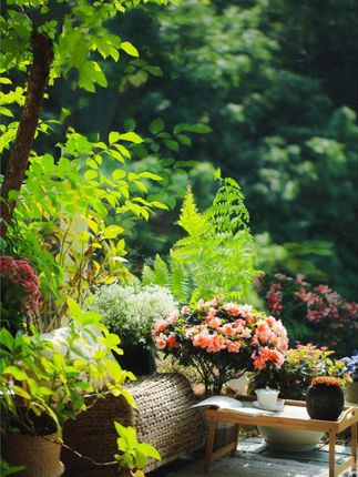 #好物推荐🔥 #面霜