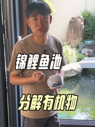 锦鲤池有机物分解 锦鲤鱼池有机物分解,有害藻类#锦鲤鱼池 #锦鲤 #锦鲤鱼池过滤