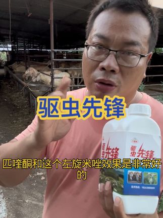 兄弟,你家的羊该驱虫了 #养殖人加油 #养羊人 #主打的就是一个真实 #牛羊养殖 #驱虫