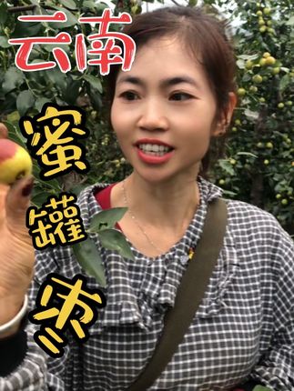 南方冬枣我们当地又叫蜜罐枣,比较甜比较脆,带点点微微的果酸,关注蒙哥蒙嫂一起种植云南大枣!#优质农产品 #我为家乡农产品代言 #自家果园 #快来一起尝个鲜 #果园采摘